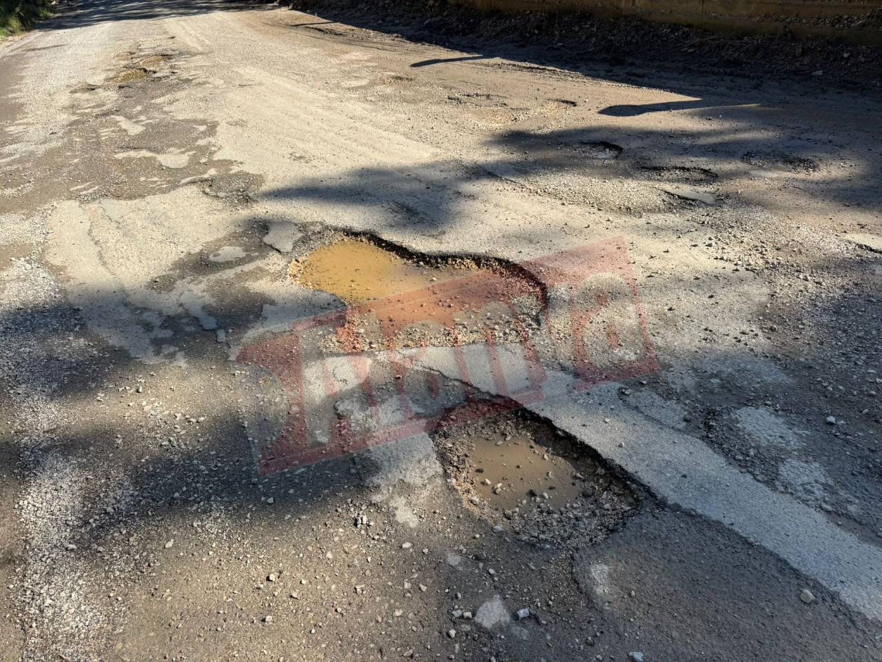 19Ae5B4A 67Ba 40Bb 8890 Ad9E8C503420