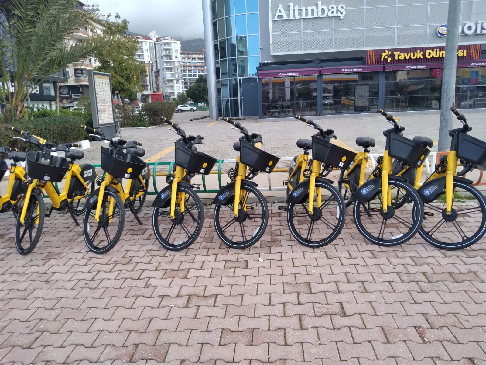 28Cb9Cb6 2062 452E 9062 941267D15296