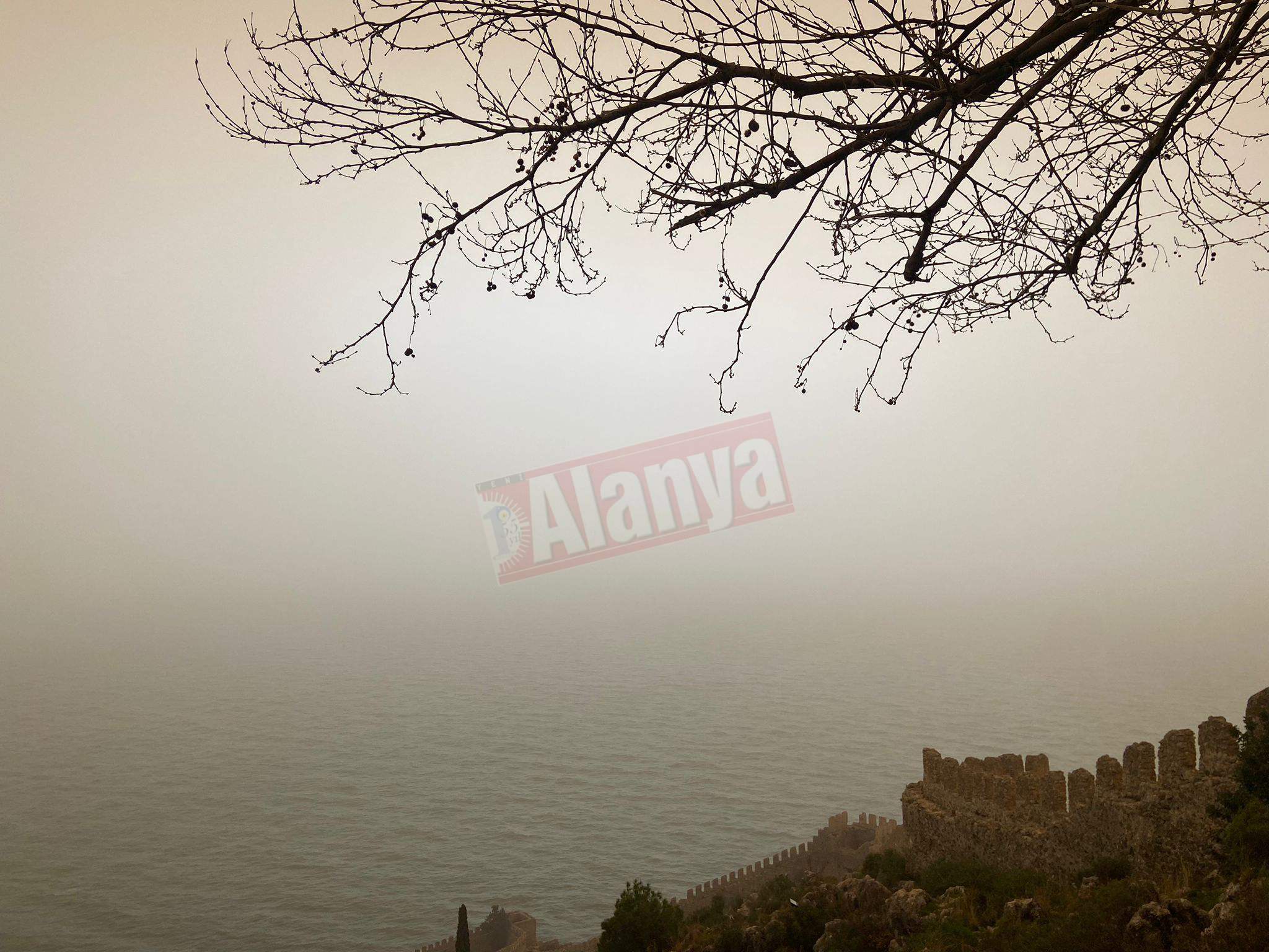 34F4F7C8 C67B 41Cb B83A Cee35084F908