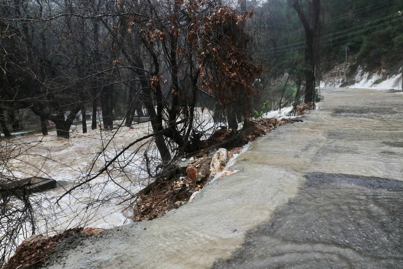 5F7B4De9 2F22 43D0 B489 E051446914F3