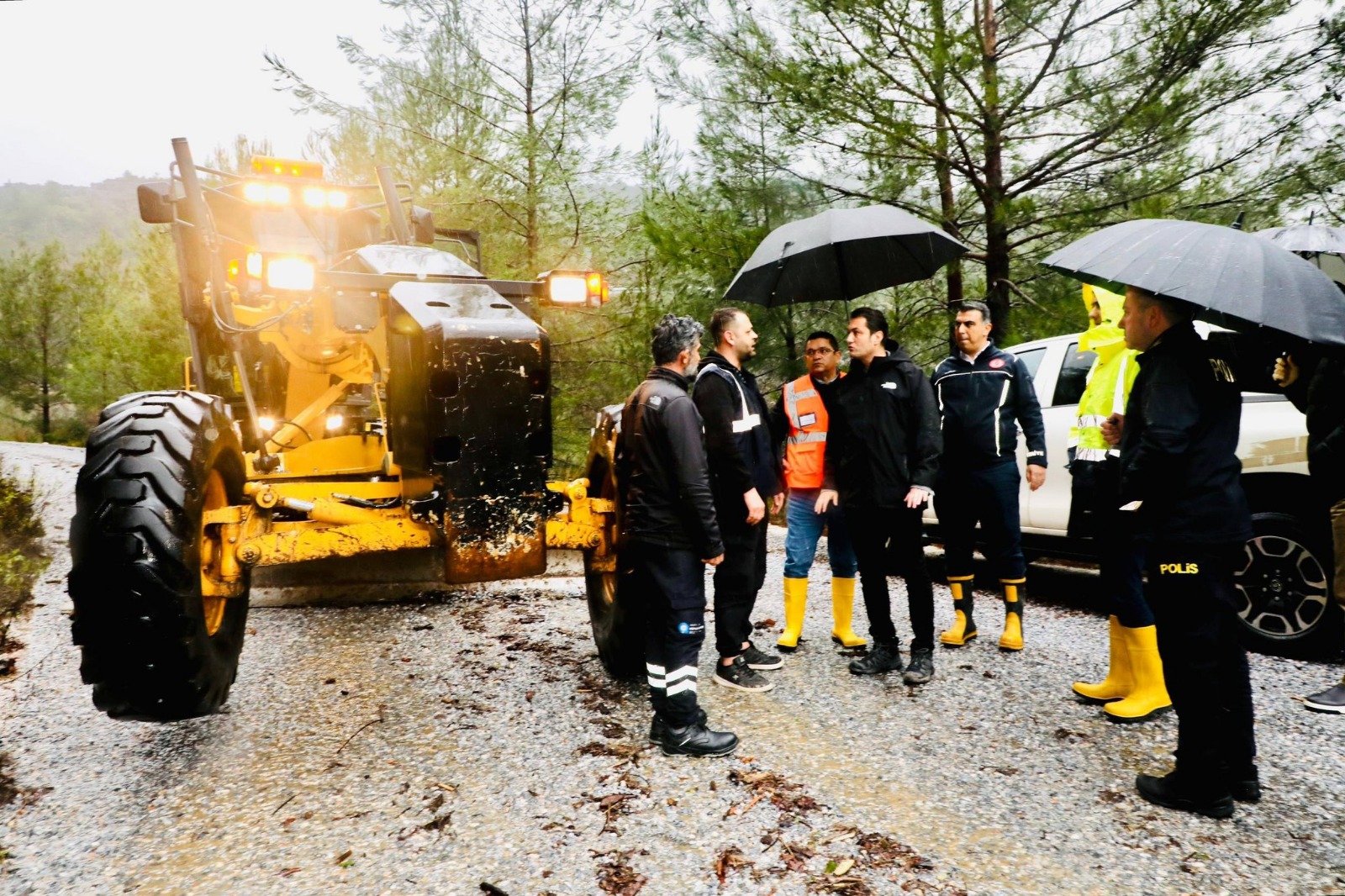 6E6139C9 5Eed 4037 Bc9B 4E47599Fd3B6