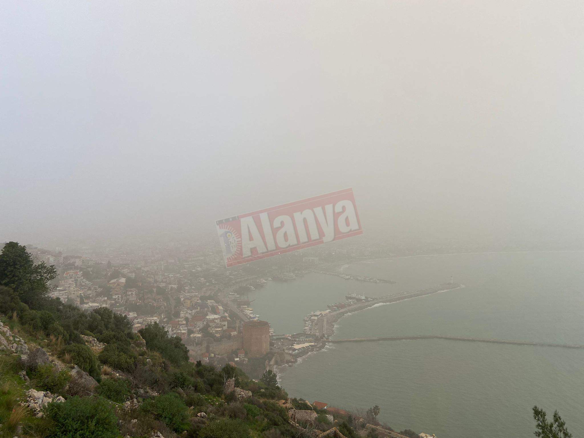 A15F9B20 7Adb 4402 9Ad1 2C37E5Ac9451