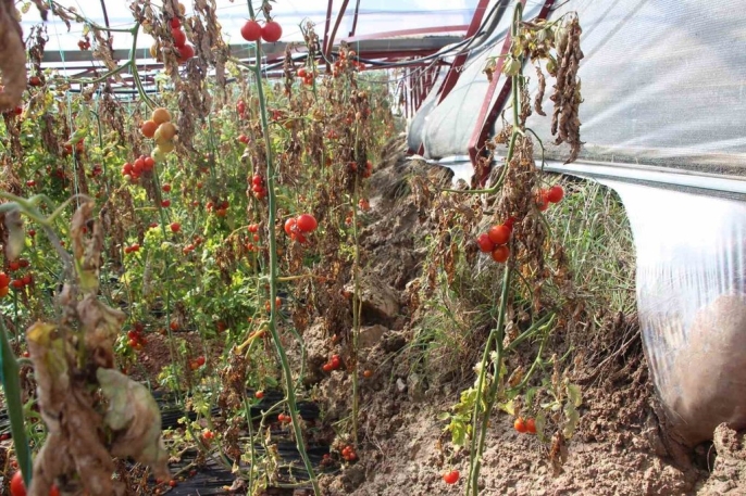 Antalya Da Heyelan Panigi Evler Catladi Seralar Dev Kayalar Altinda Kaldi 5 1771123965