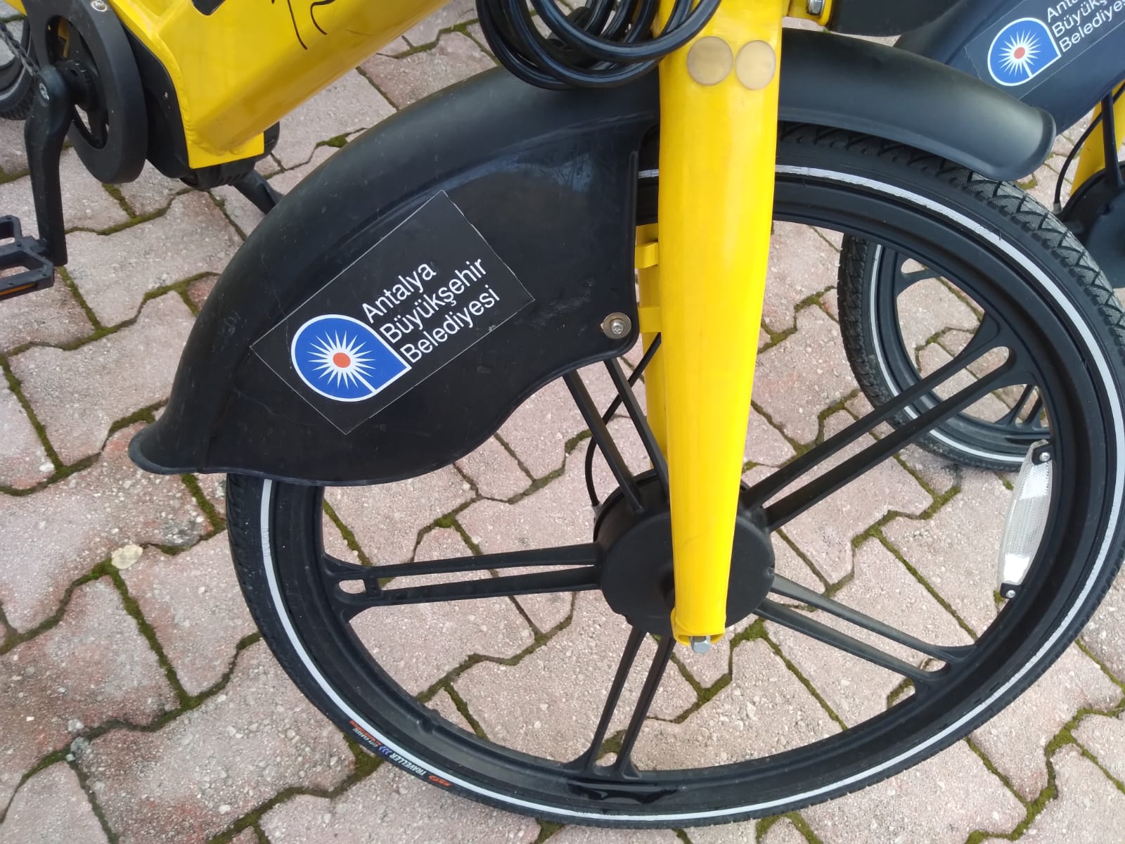 D269253A 4F4A 4033 80F7 F901Ad17Cdd0