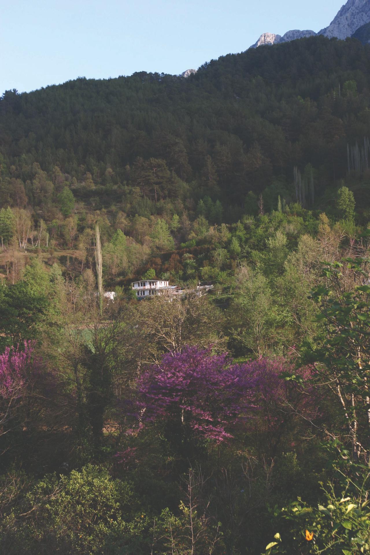 Dim Barajı Göl Altı 3-1