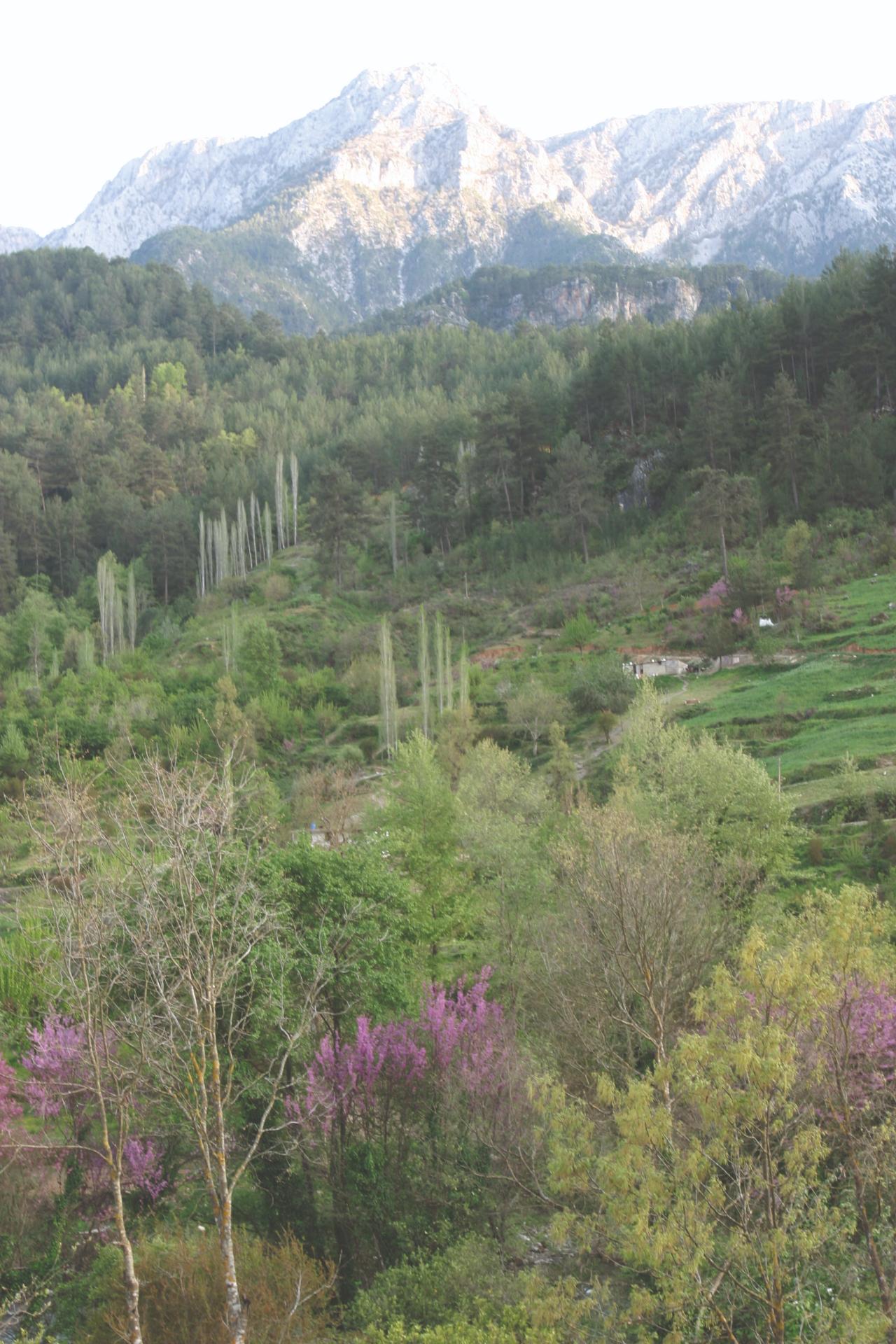Dim Barajı Göl Altı Nisan 2007-1