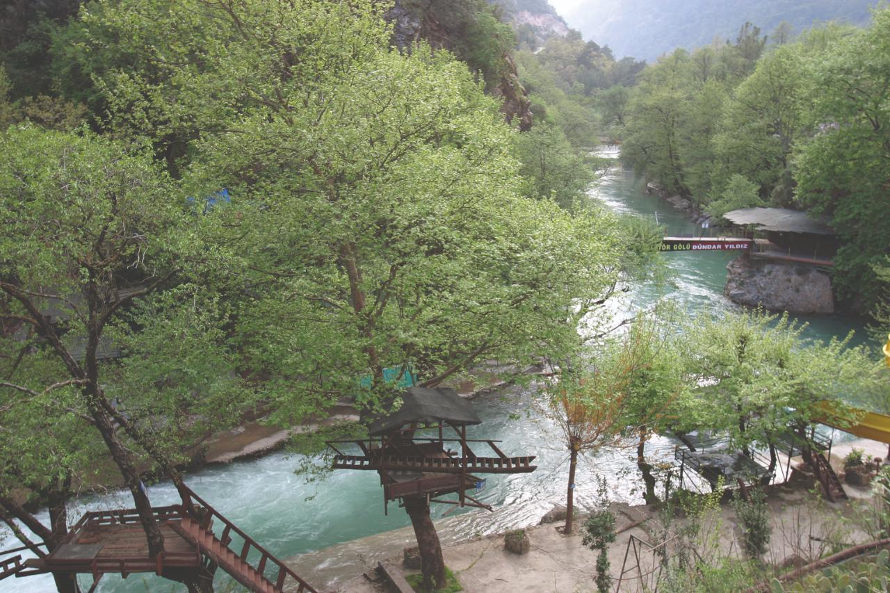 Dim Çayı Çardak Iyi-1