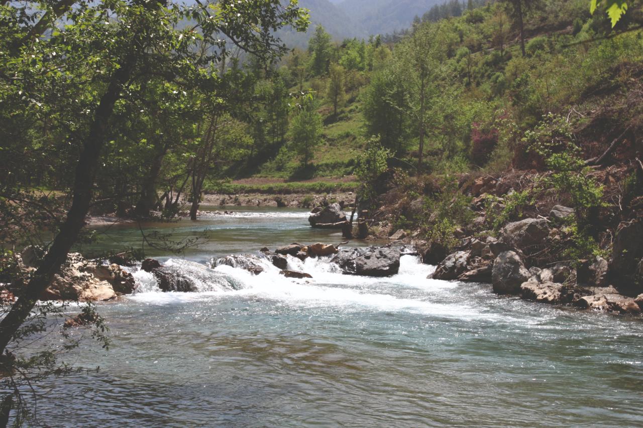 Dim Çayı Yazı 4-1