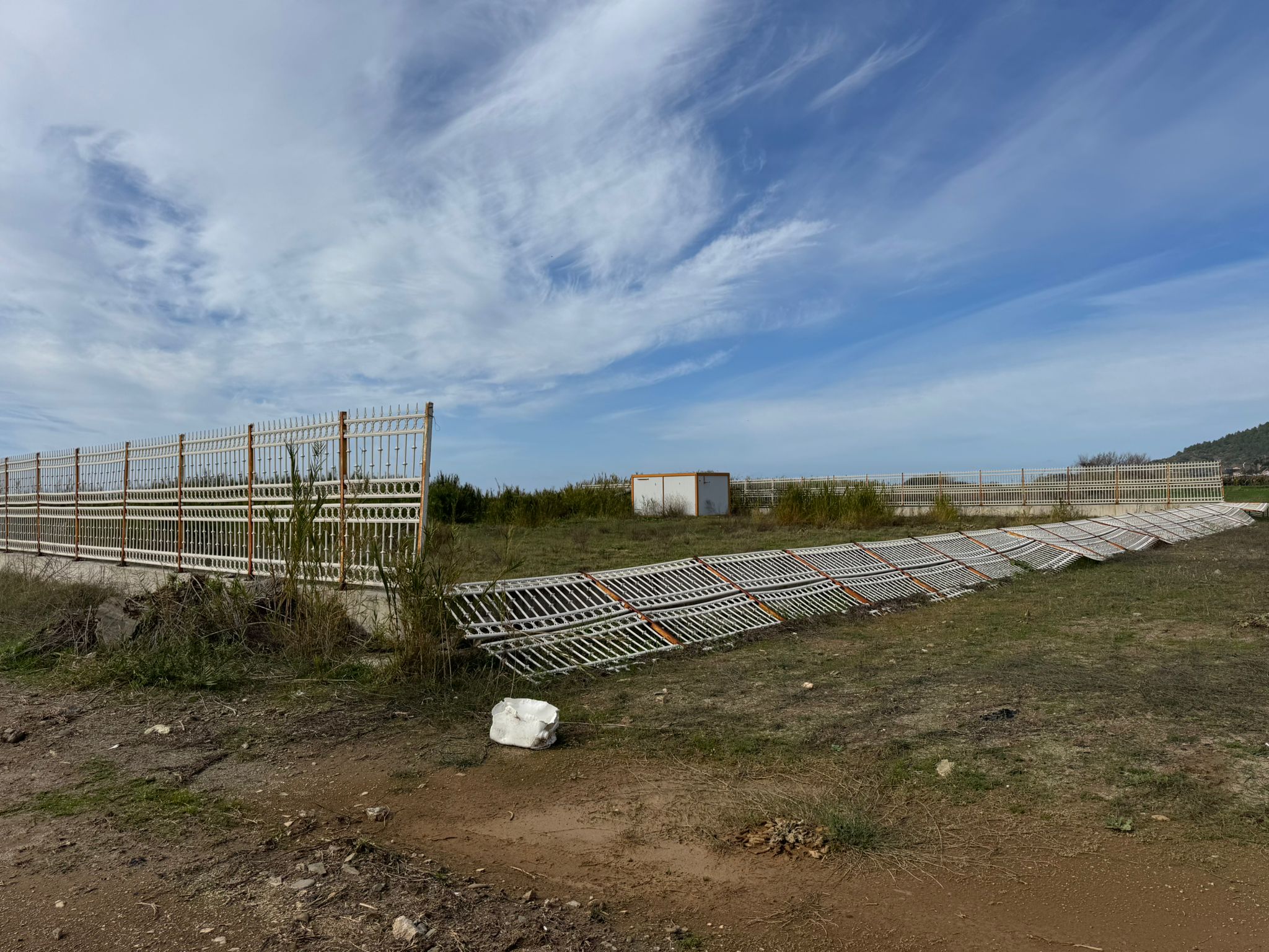 I M G 20260210 W A0007