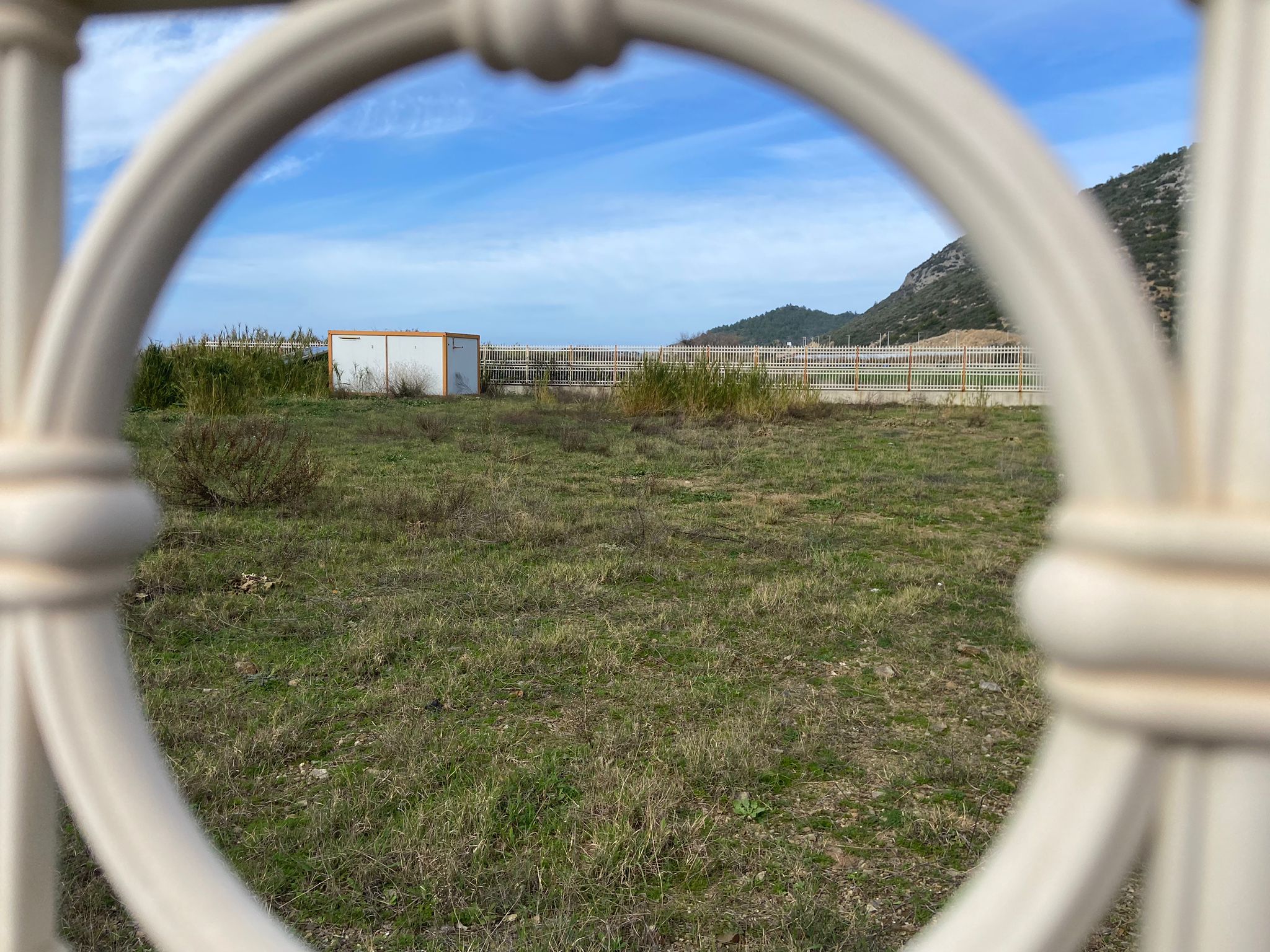 I M G 20260210 W A0009