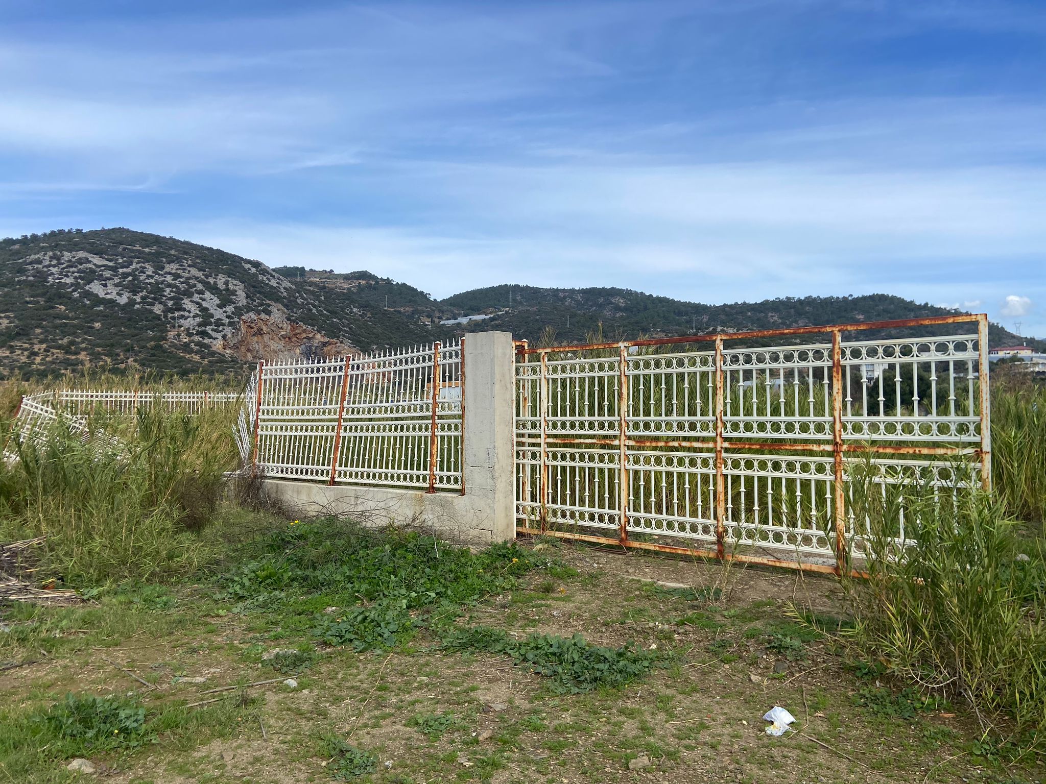 I M G 20260210 W A0018