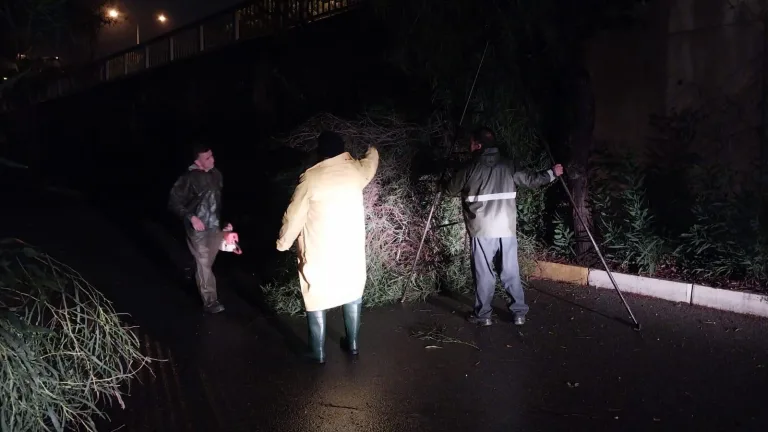 I M G 20260213 W A0007 768X432