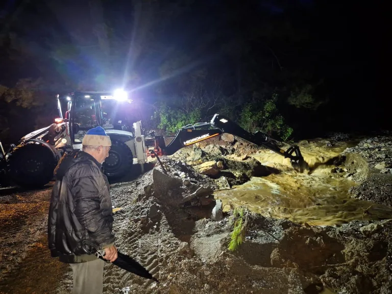 I M G 20260213 W A0011 768X576