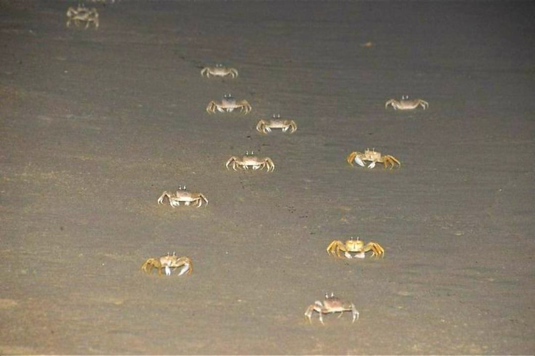 Whatsapp Image 2026 02 20 At 12.12.06 (1)