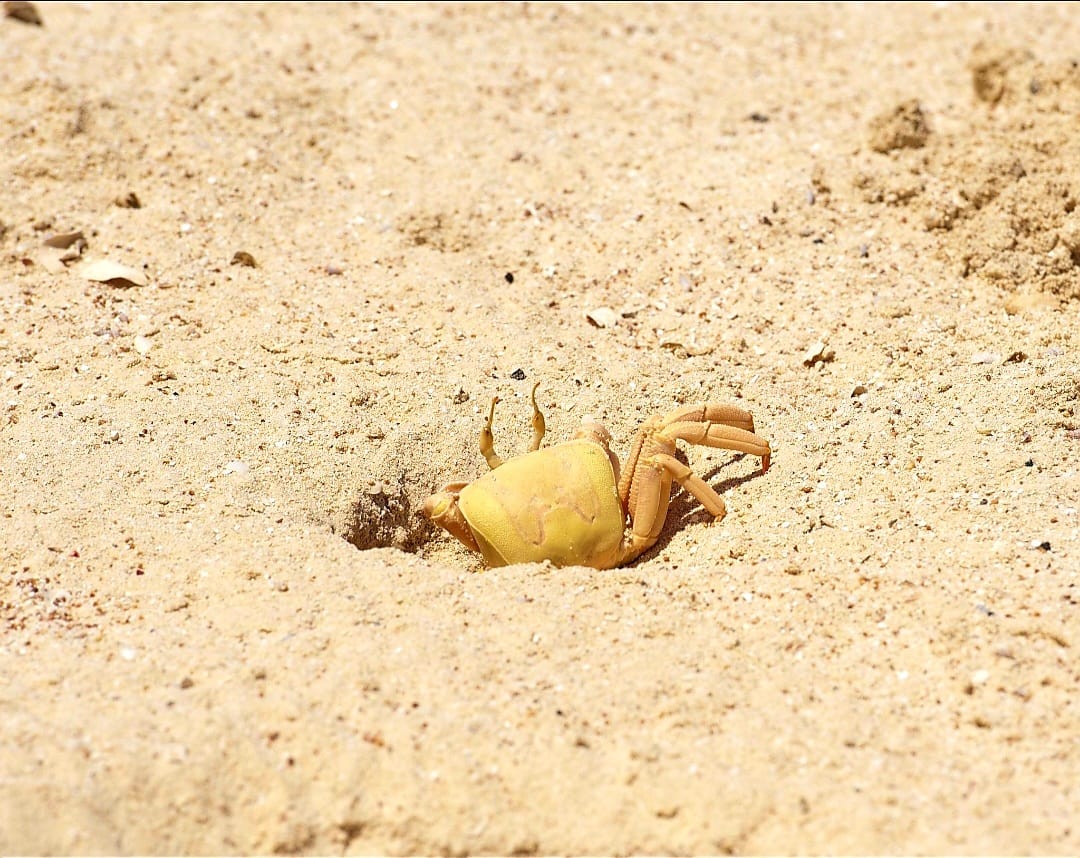 Whatsapp Image 2026 02 20 At 12.12.06 (2)