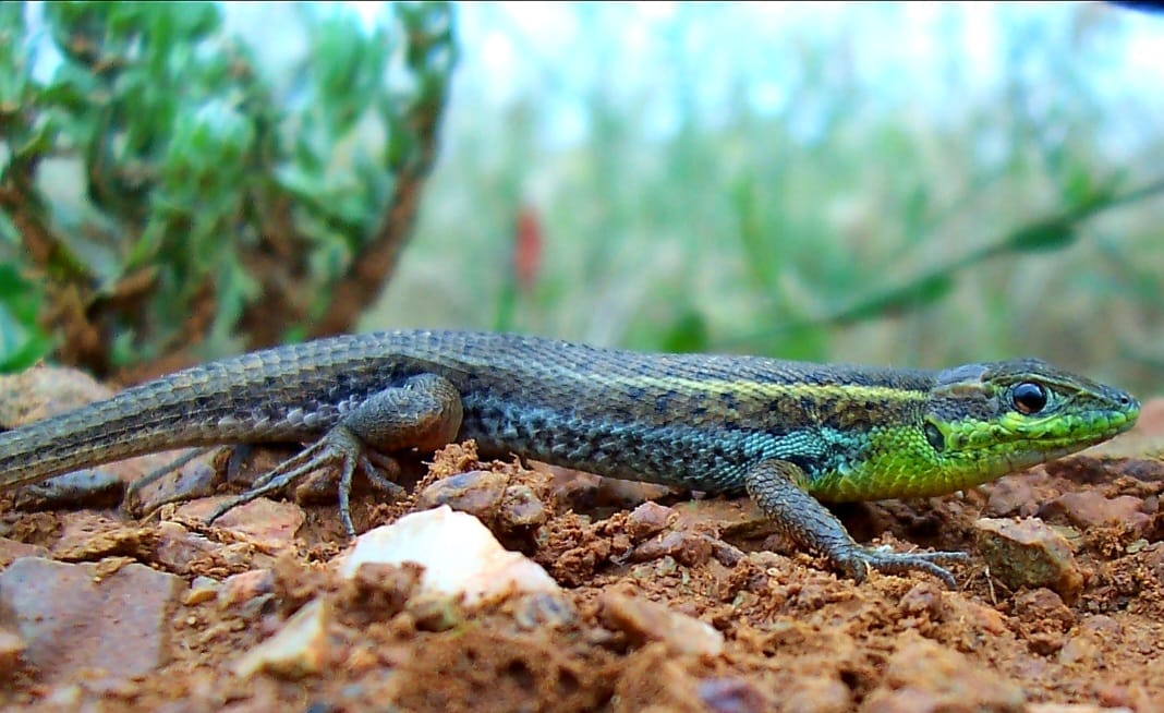 Whatsapp Image 2026 02 20 At 12.12.06 (3)