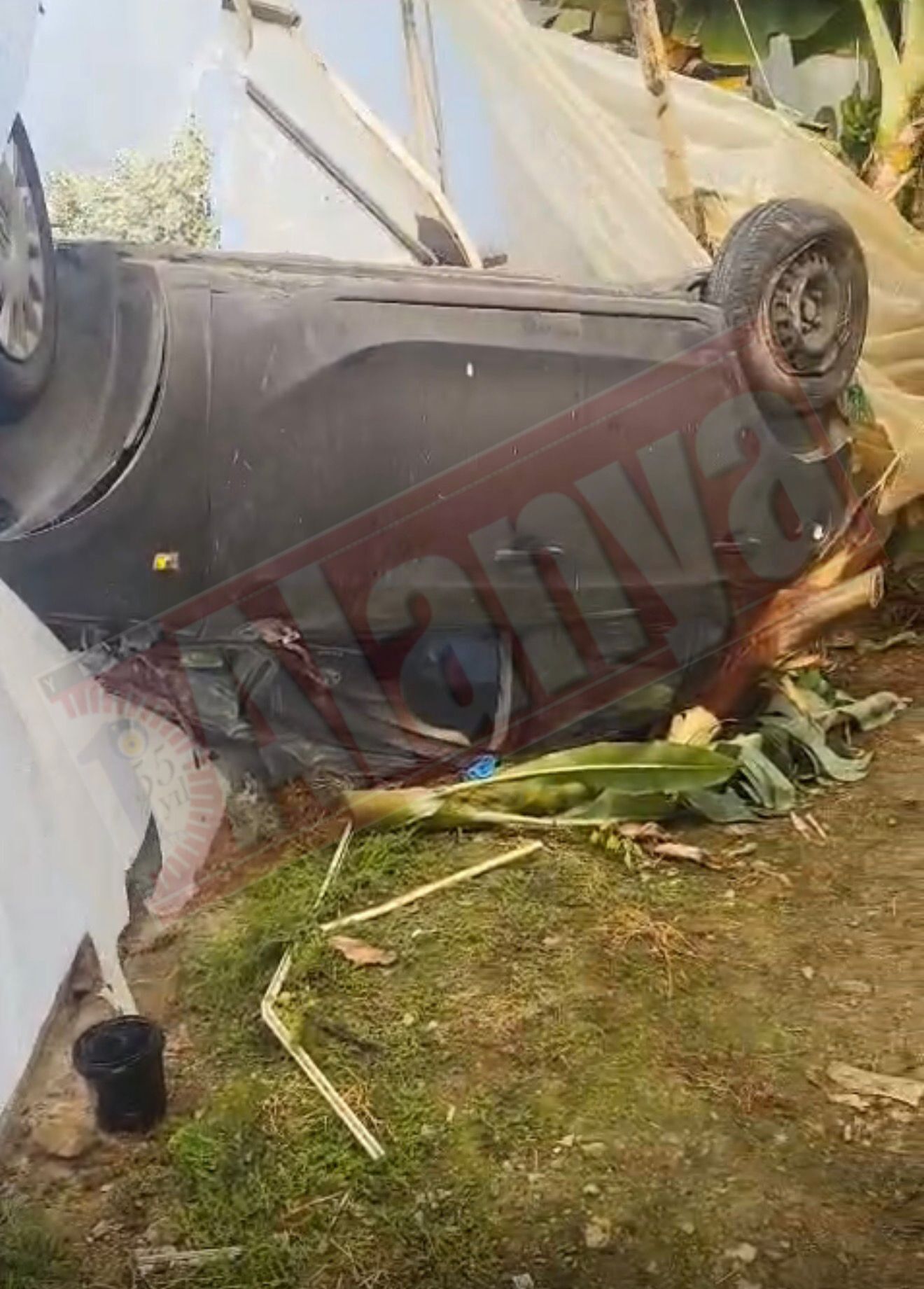 2Fd898D0 D83A 4C5A A364 A78C456D8Ee2