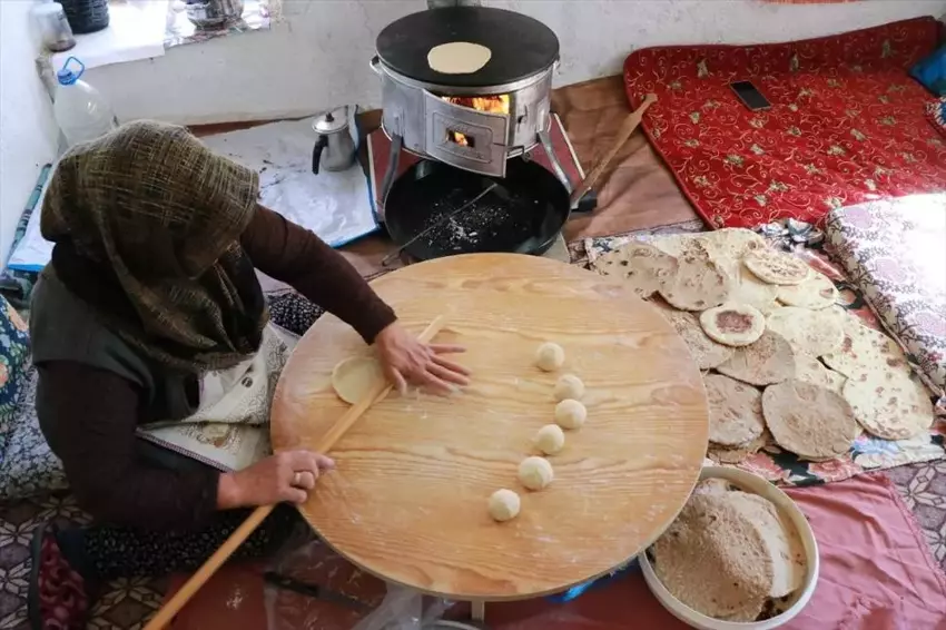 69B8F4869E08A5696Bc76Ad2