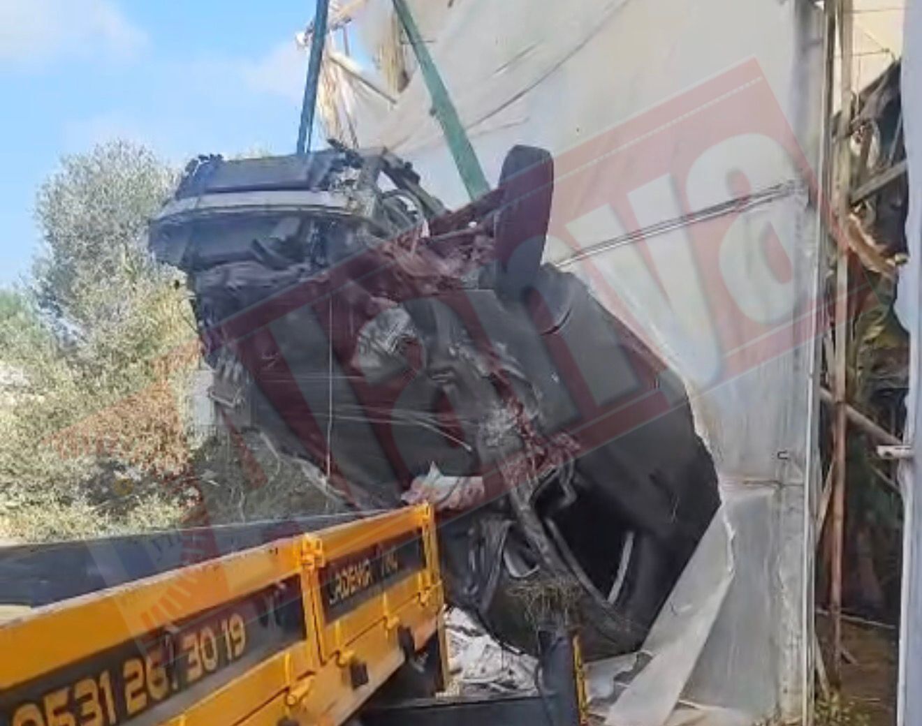 9F69299E 08D3 4635 9E8A Aaf52A0684D9