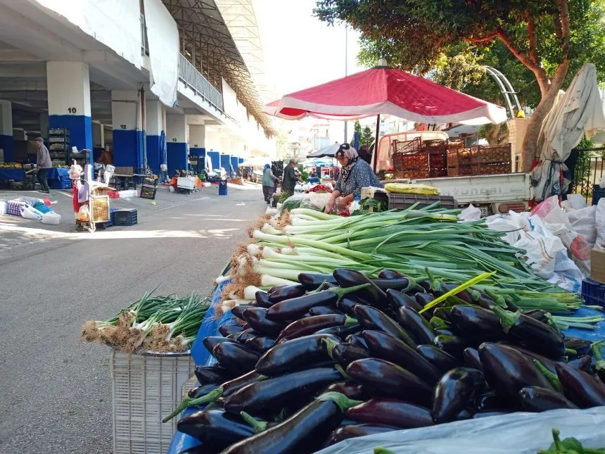 Carsamba Pazari Patlican 1