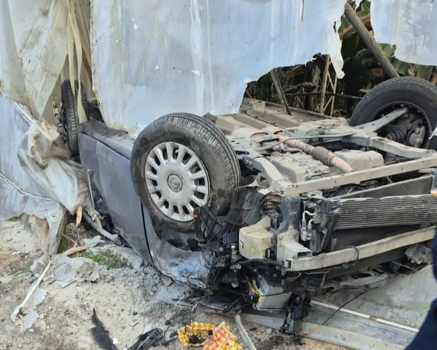 F B I M G 1773750818575