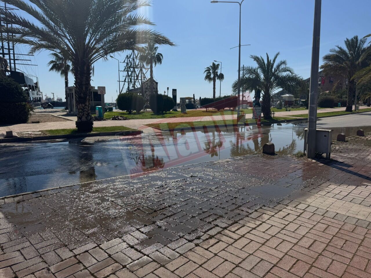 Fc1425D3 510E 4182 8Dc9 Dca65Ac54C00