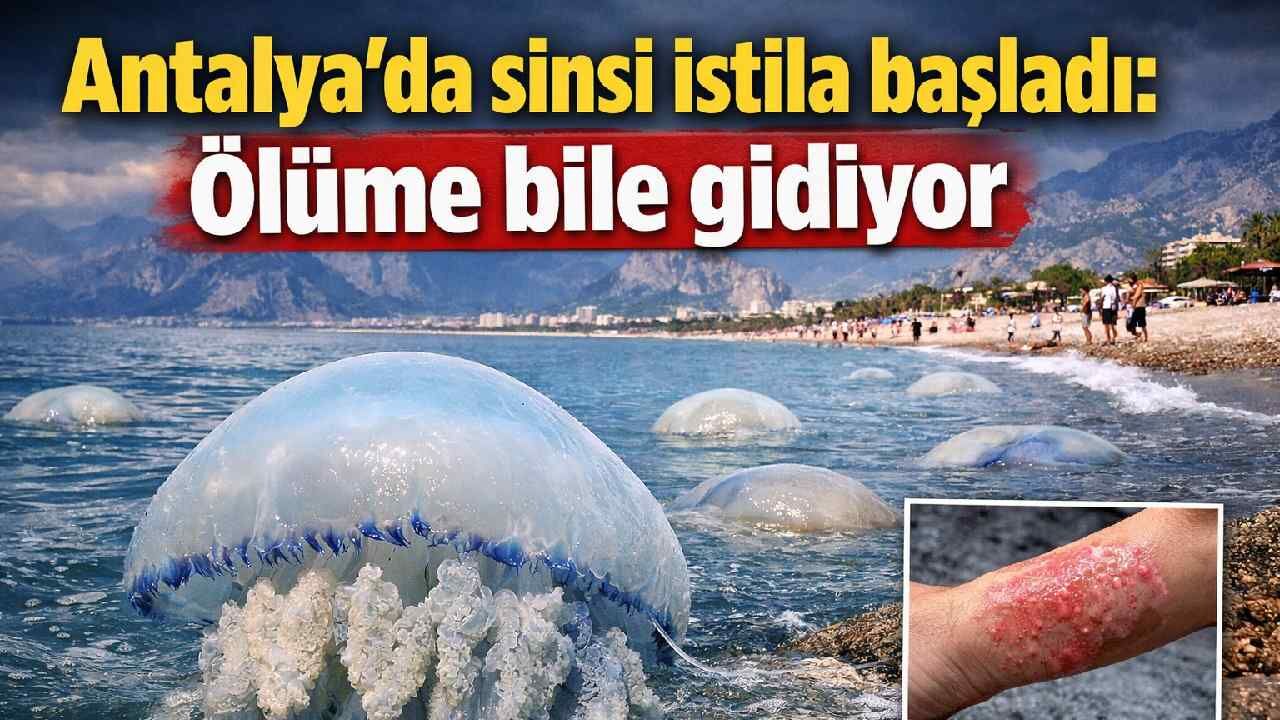 Antalya'da sinsi istila başladı: Ölüme bile gidiyor
