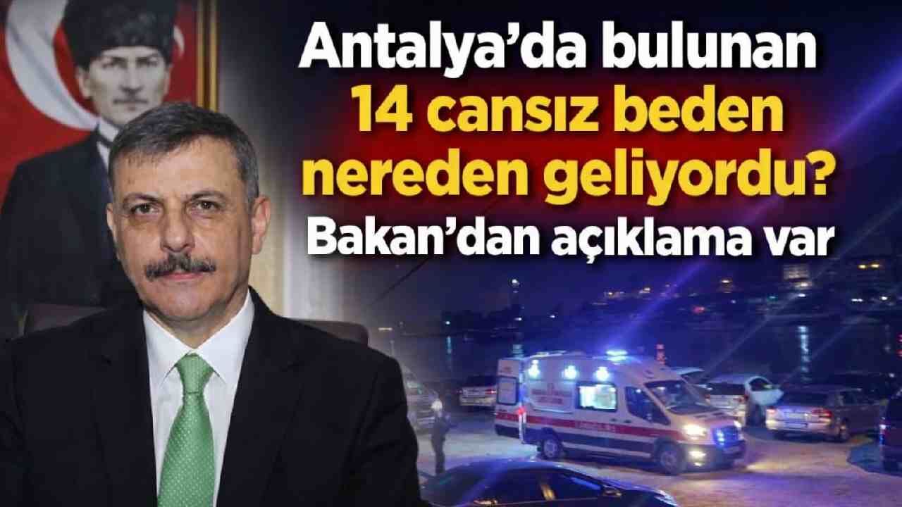 Antalya'da bulunan 14 cansız beden nereden geliyordu? Bakan'dan açıklama var