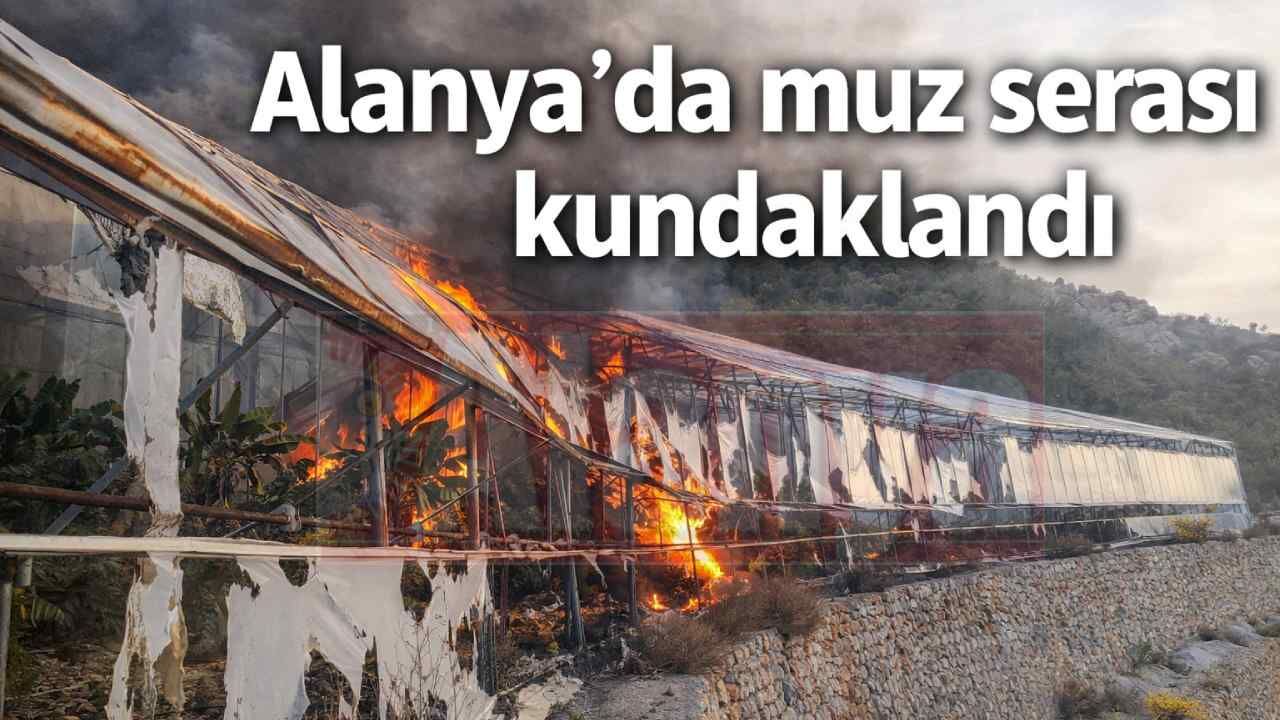 Alanya’da muz serası kundaklandı