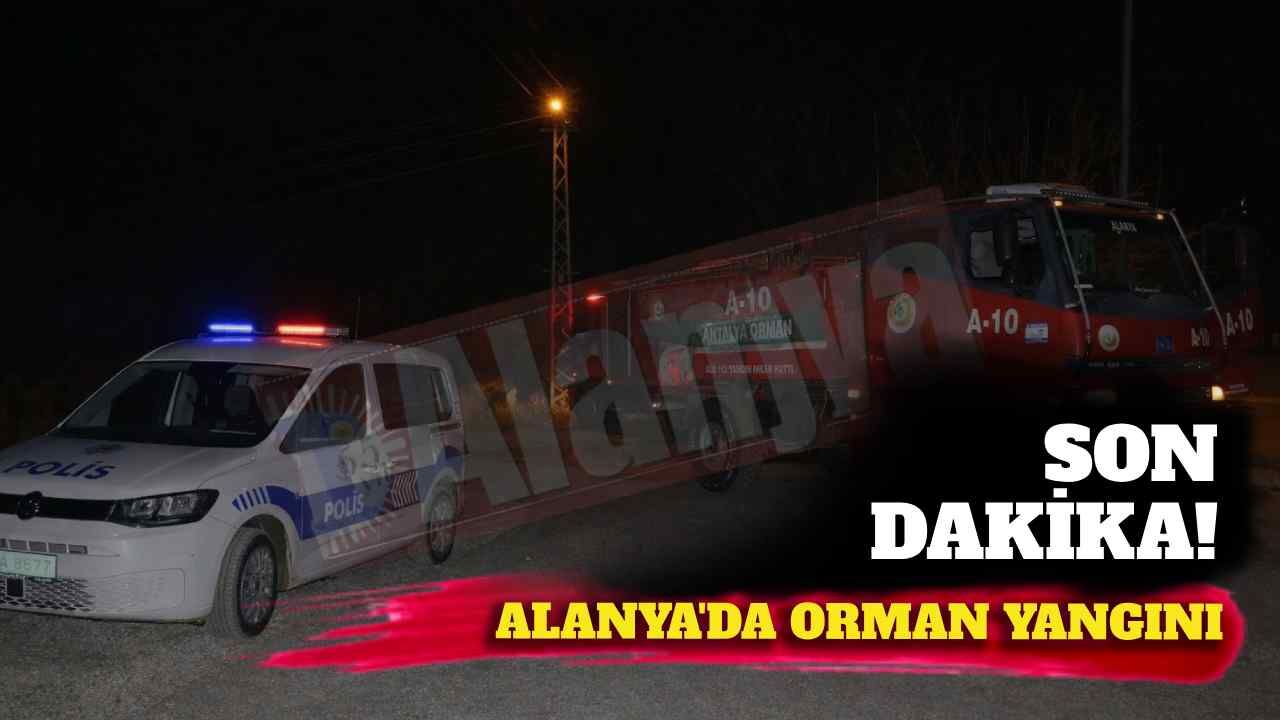 Son dakika! Alanya'da orman yangını