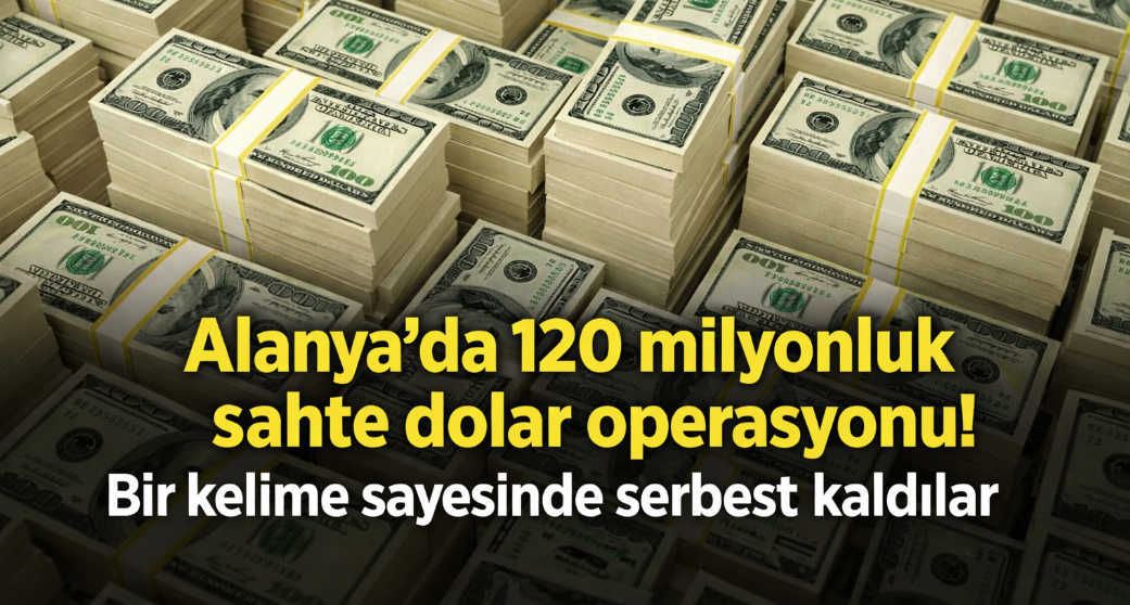 Alanya'da 120 milyonluk sahte dolar operasyonu! Bir kelime sayesinde serbest kaldılar
