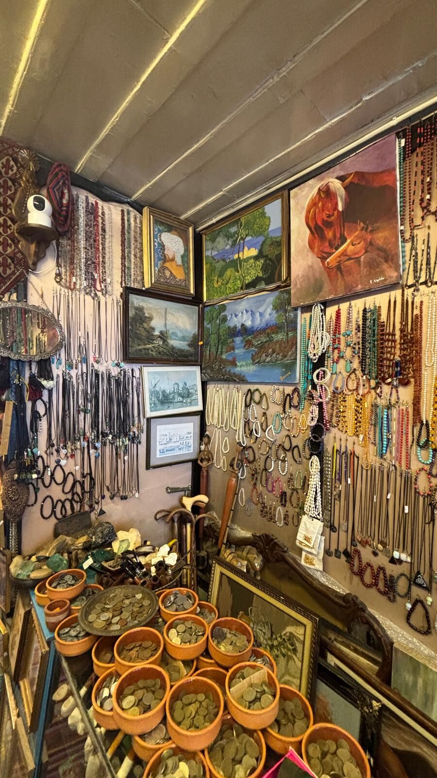 Whatsapp Image 2026 03 04 At 14.57.06 (1)