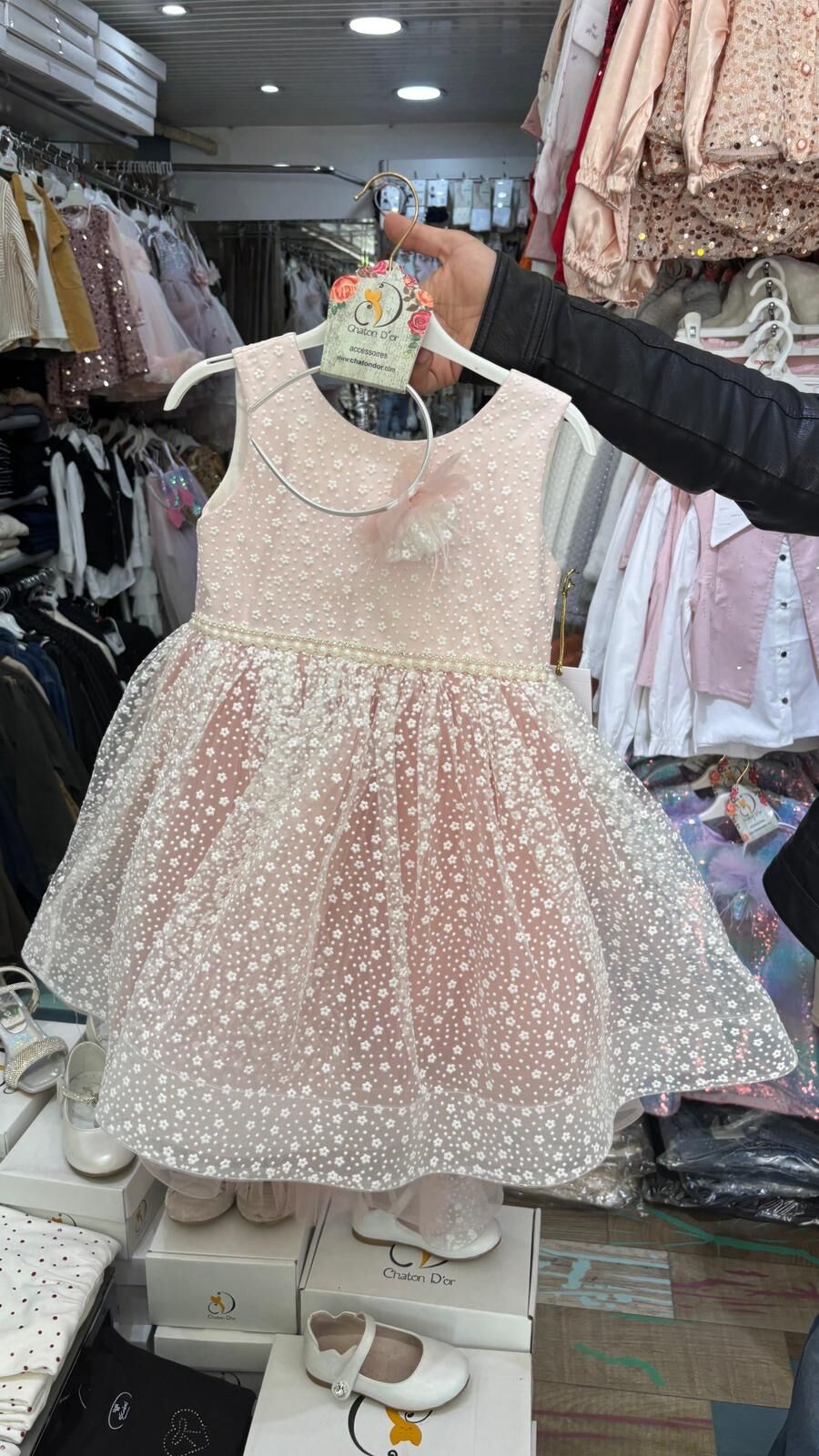 Whatsapp Image 2026 03 06 At 13.35.00 (1)