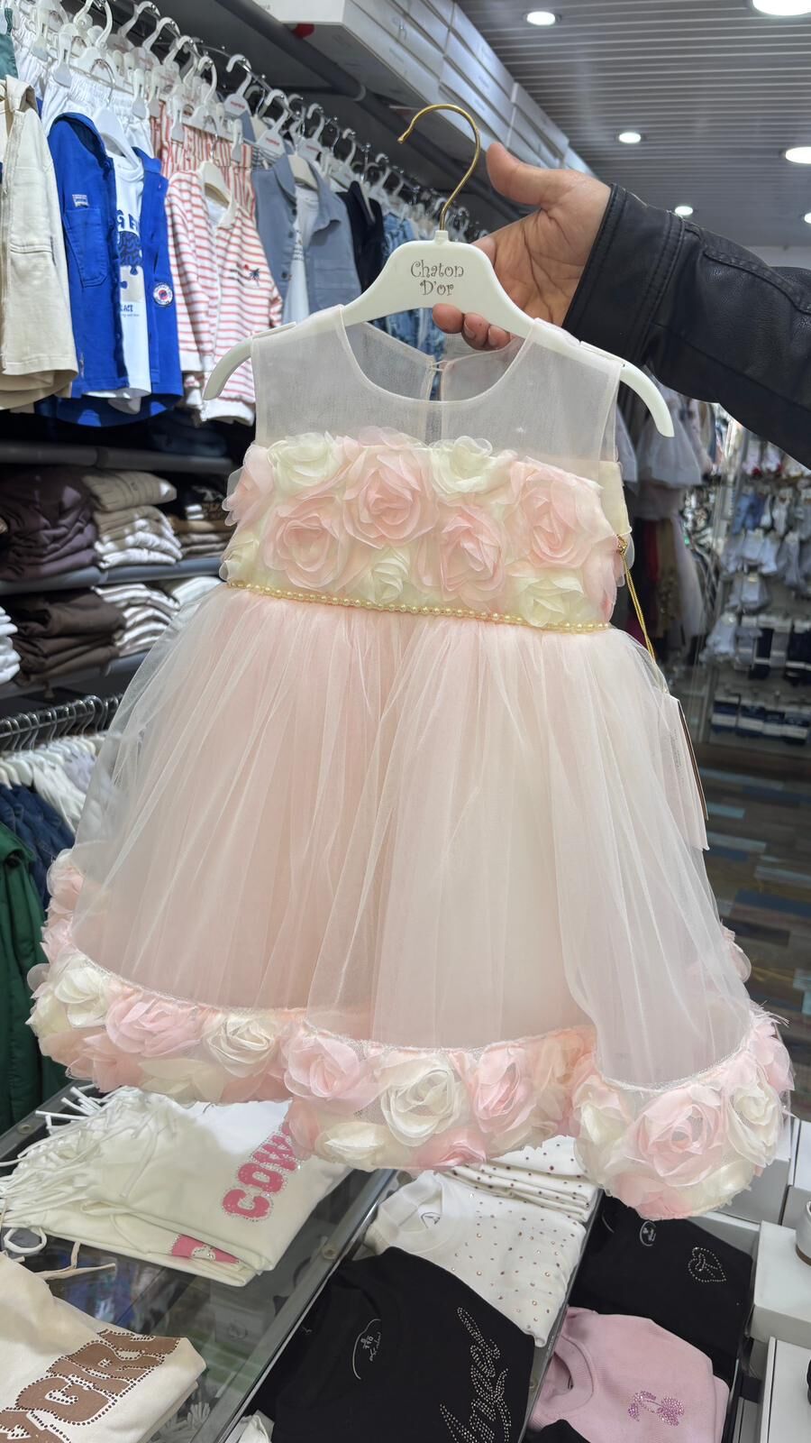 Whatsapp Image 2026 03 06 At 13.35.00