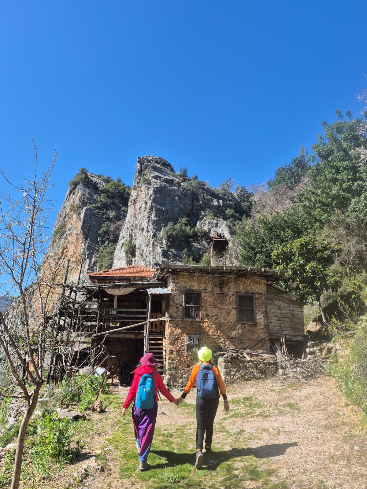 Whatsapp Image 2026 03 08 At 11.57.40 (1)