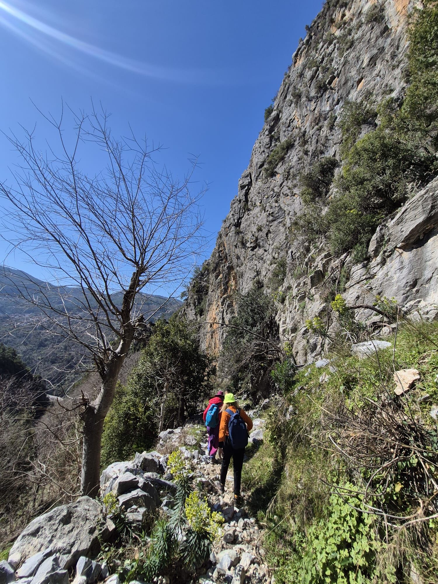 Whatsapp Image 2026 03 08 At 11.57.40 (2)