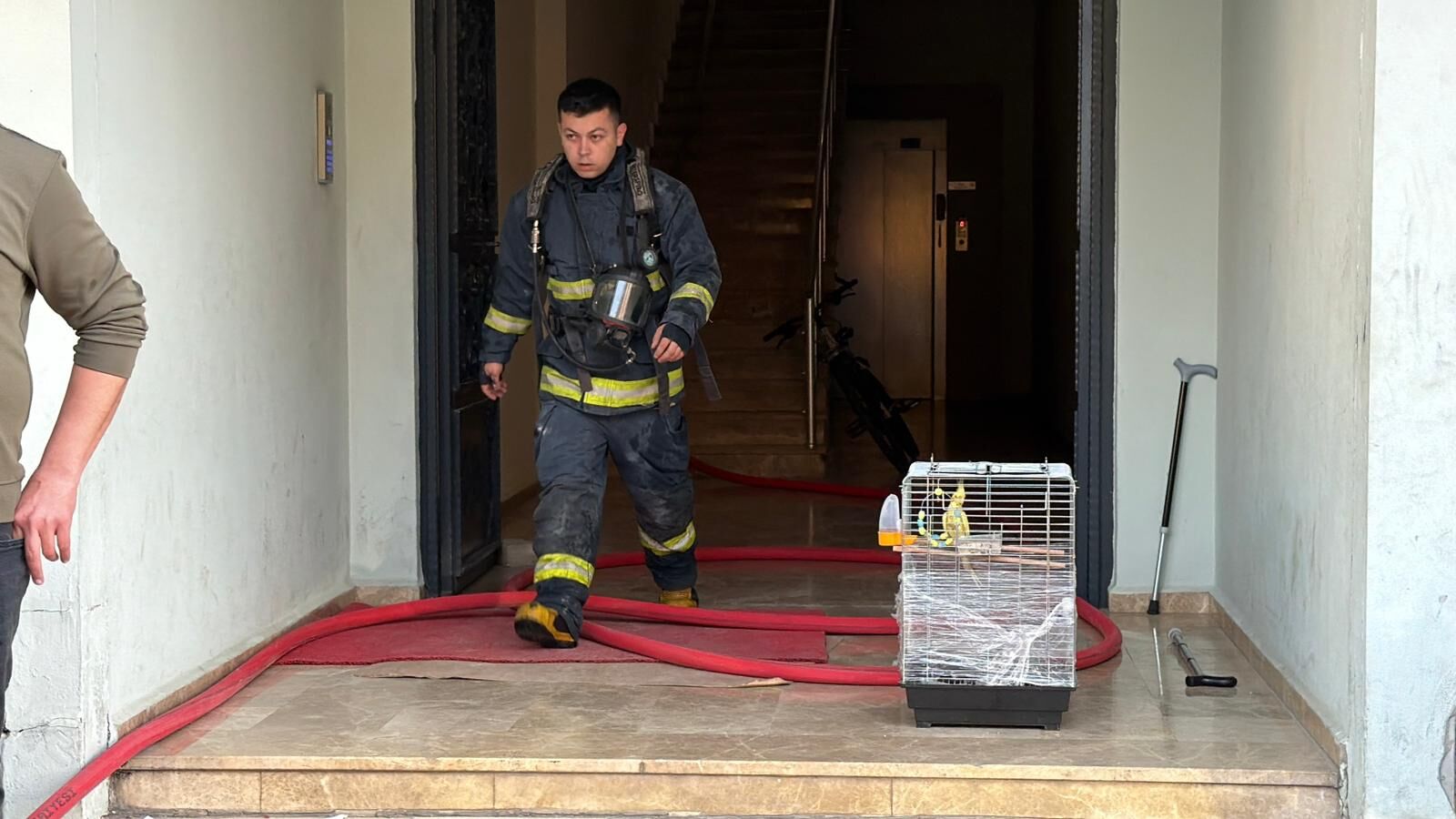 Whatsapp Image 2026 03 09 At 21.38.04