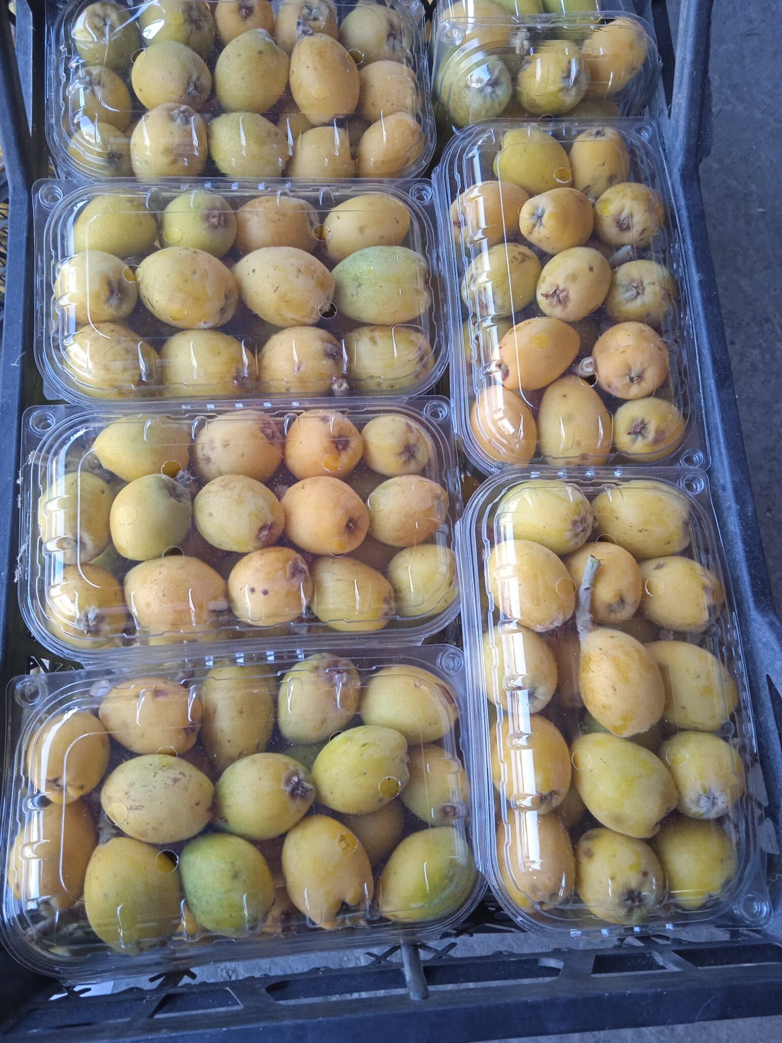 Whatsapp Image 2026 03 10 At 13.13.39