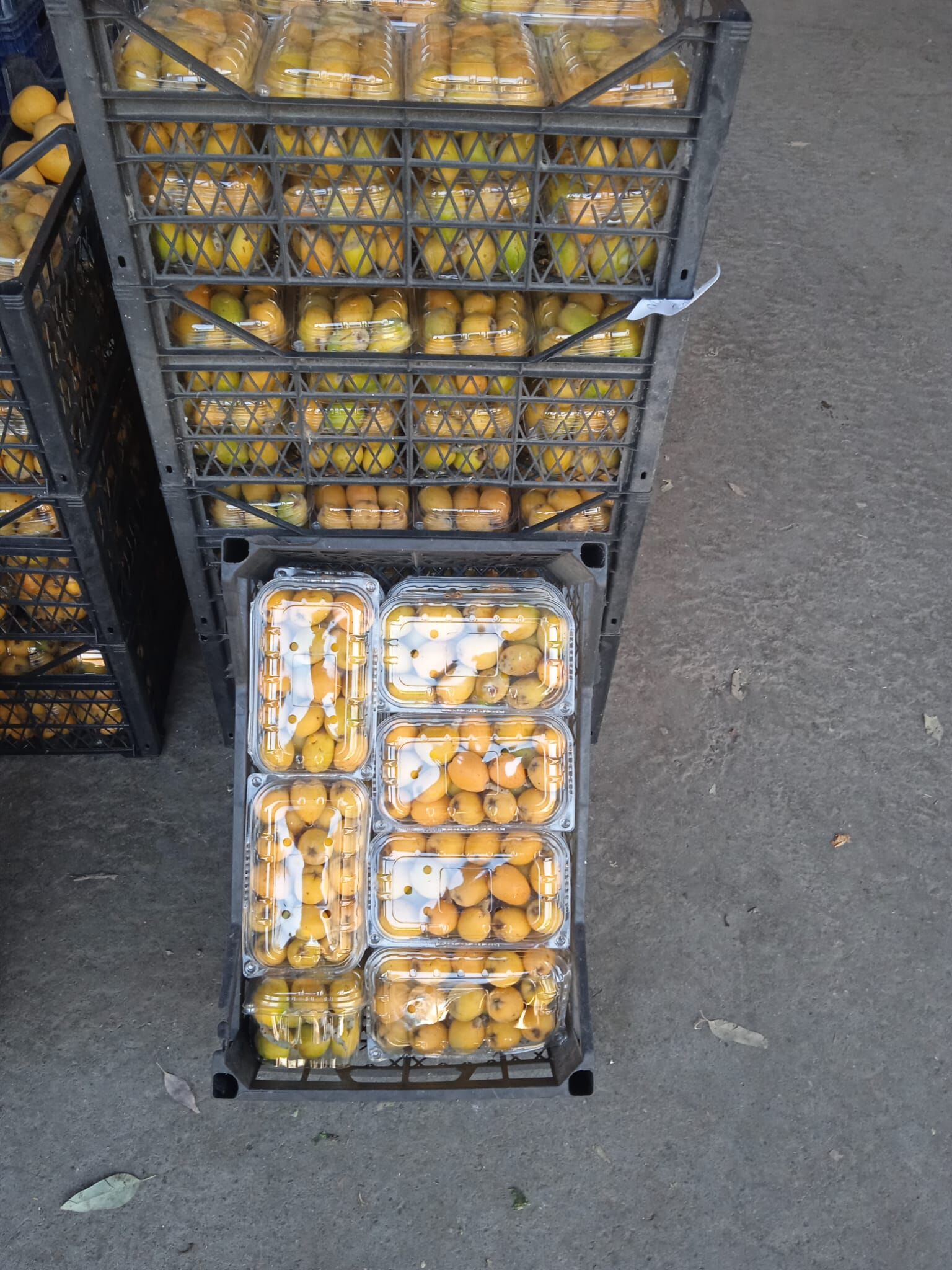 Whatsapp Image 2026 03 10 At 13.13.40