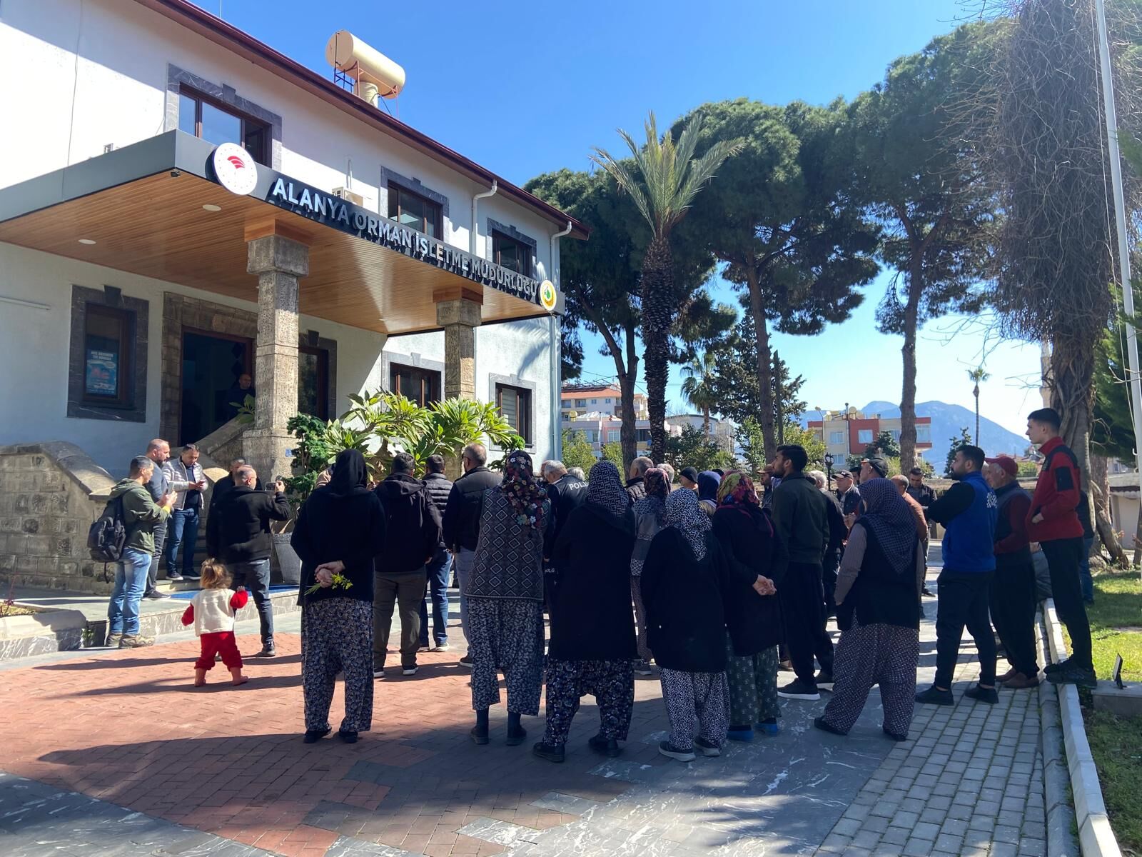 Whatsapp Image 2026 03 11 At 16.08.50