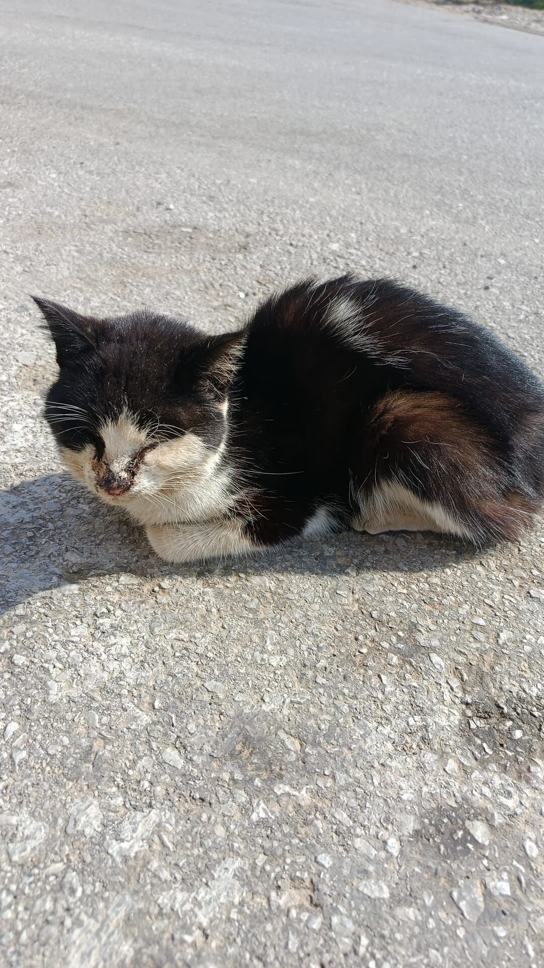 Whatsapp Image 2026 03 18 At 11.27.07