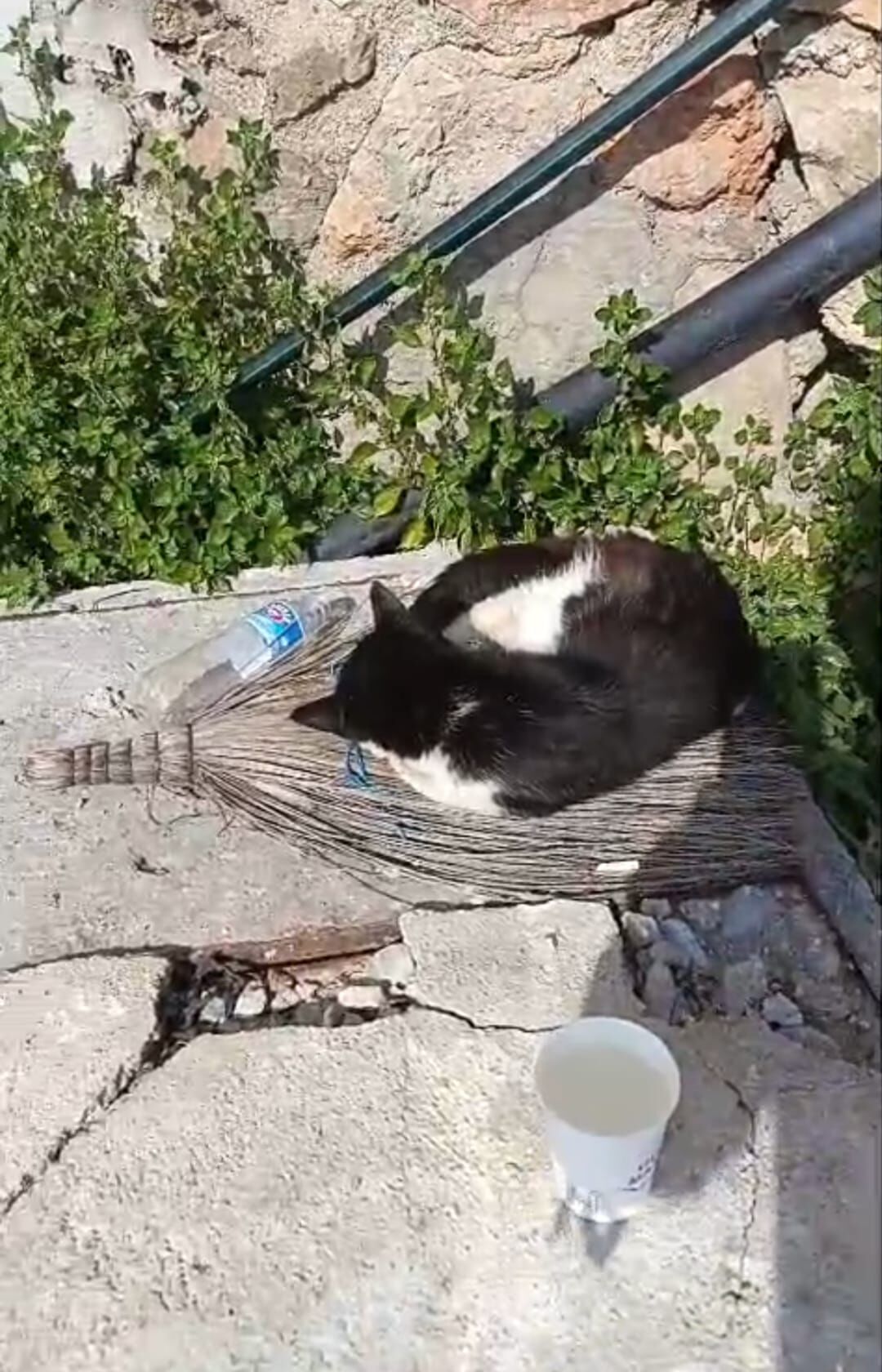 Whatsapp Image 2026 03 18 At 11.37.38