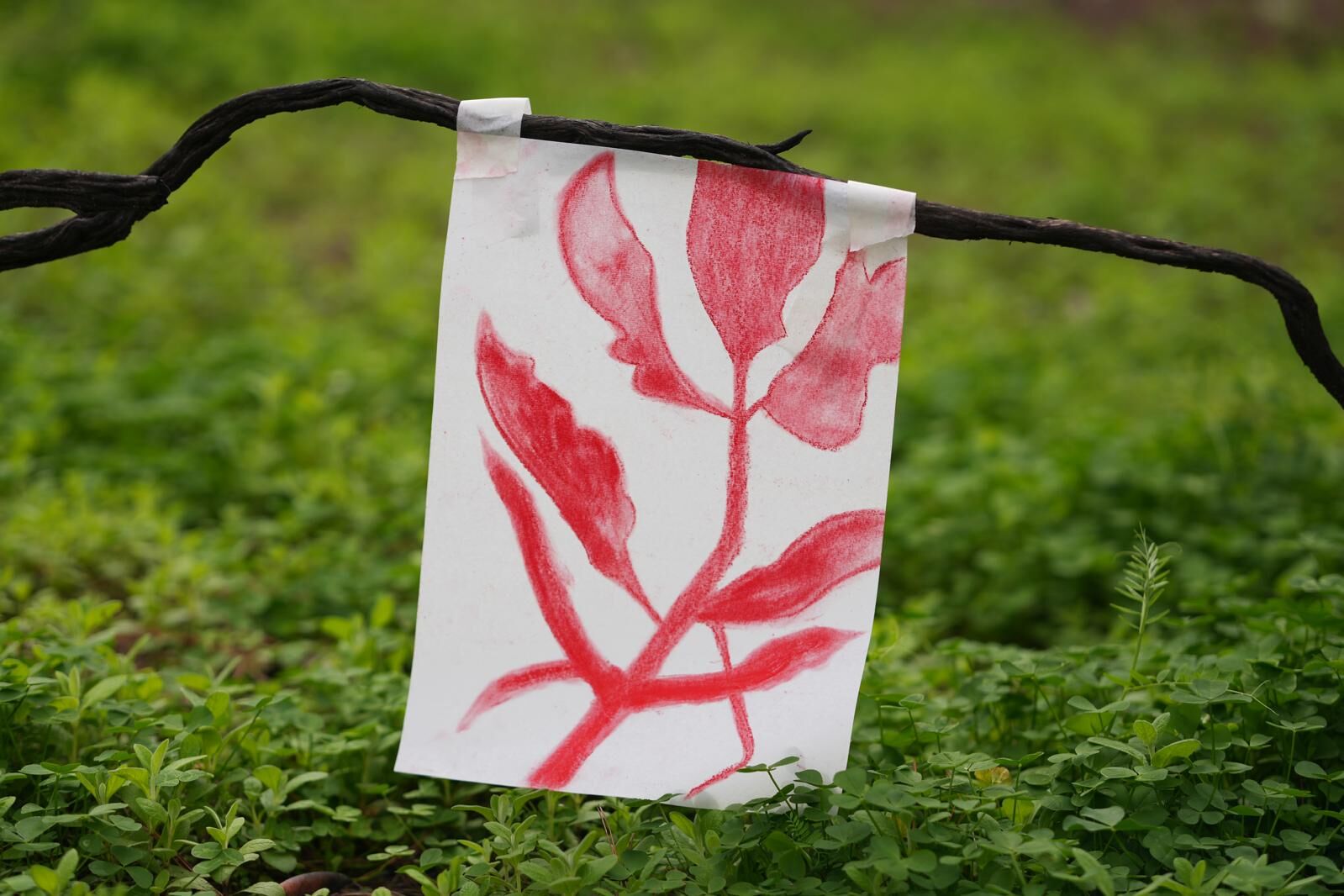 Whatsapp Image 2026 03 18 At 20.02.21 (1)