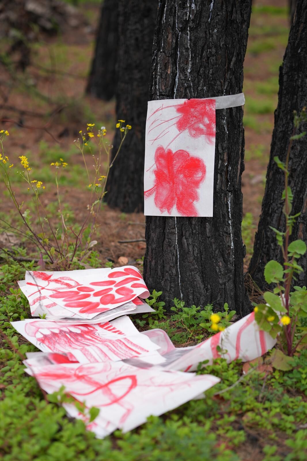 Whatsapp Image 2026 03 18 At 20.02.21 (2)