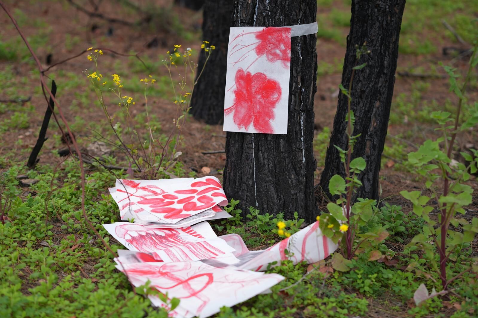 Whatsapp Image 2026 03 18 At 20.02.21 (3)