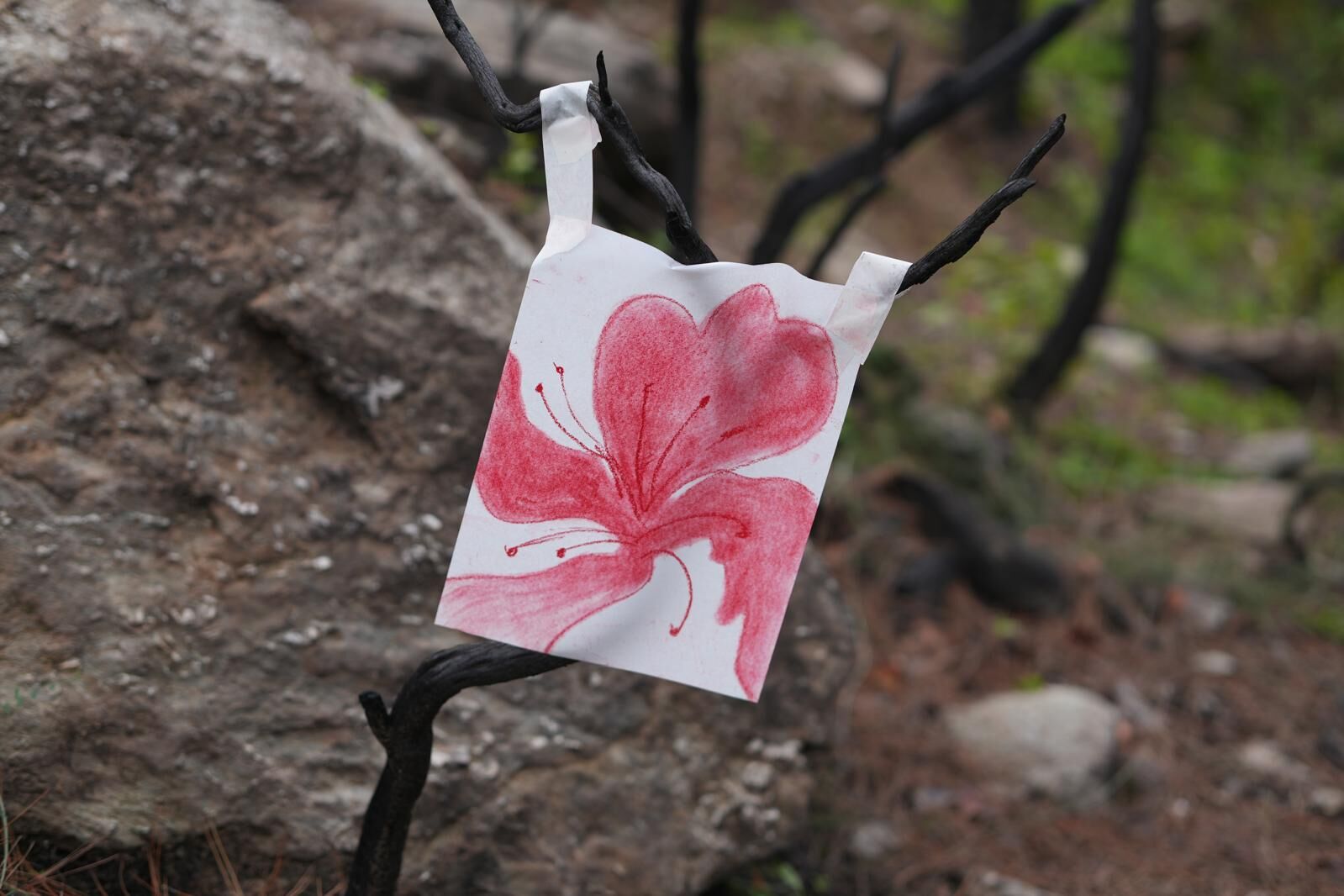 Whatsapp Image 2026 03 18 At 20.02.22 (1)