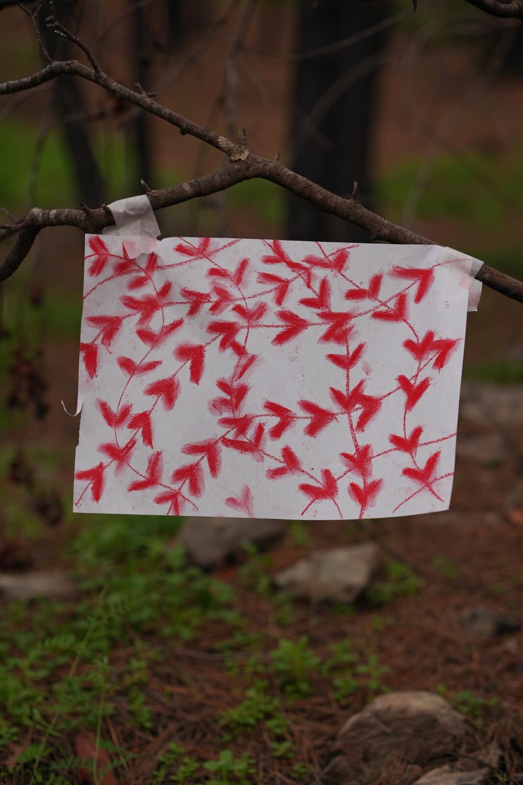 Whatsapp Image 2026 03 18 At 20.02.22 (2)