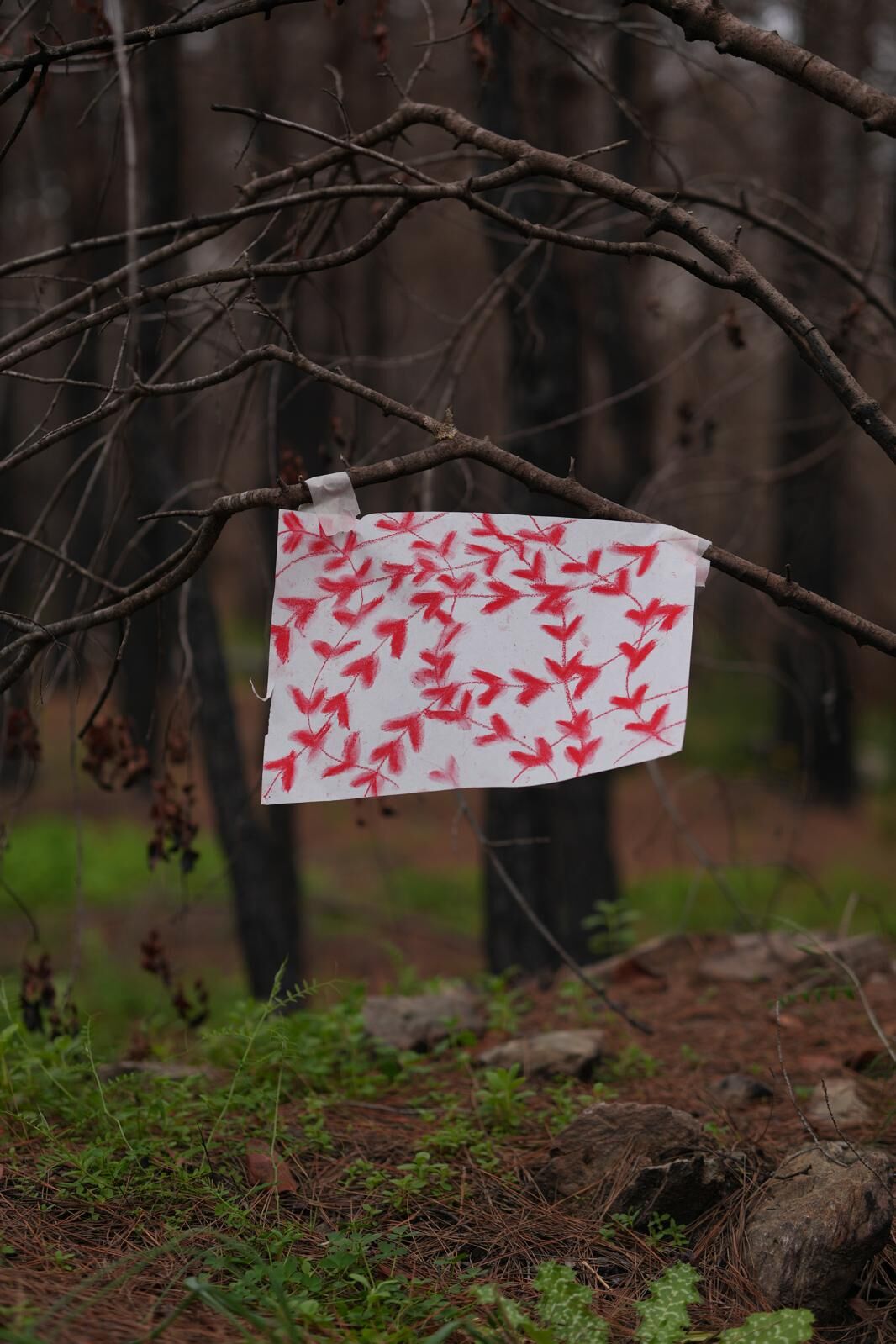 Whatsapp Image 2026 03 18 At 20.02.22 (3)