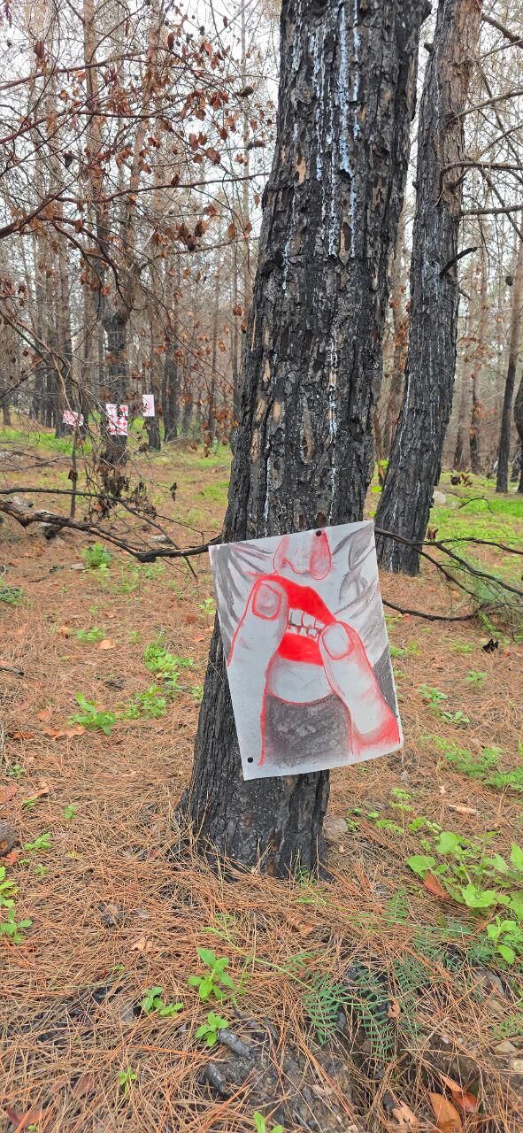 Whatsapp Image 2026 03 18 At 20.02.22 (5)