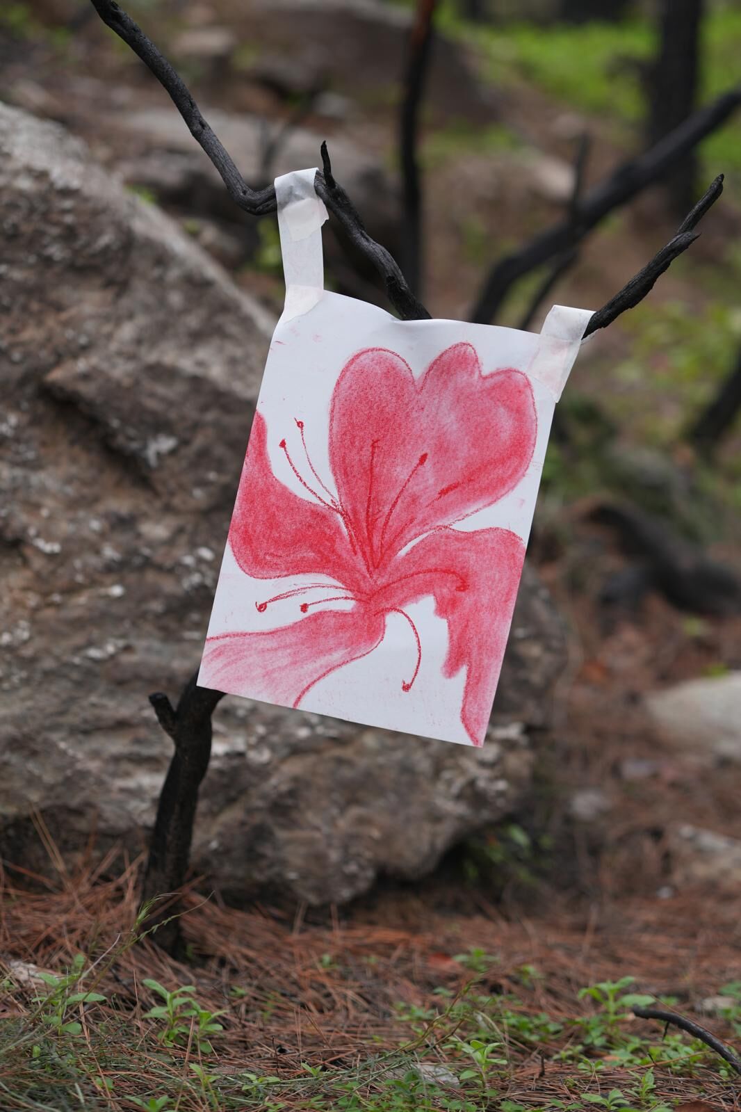 Whatsapp Image 2026 03 18 At 20.02.22